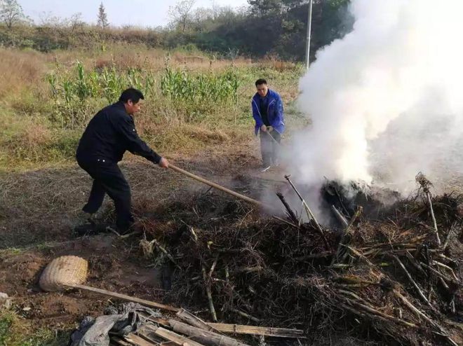 湖南某地秸秆焚烧政策引发关注，当地回应放开限制