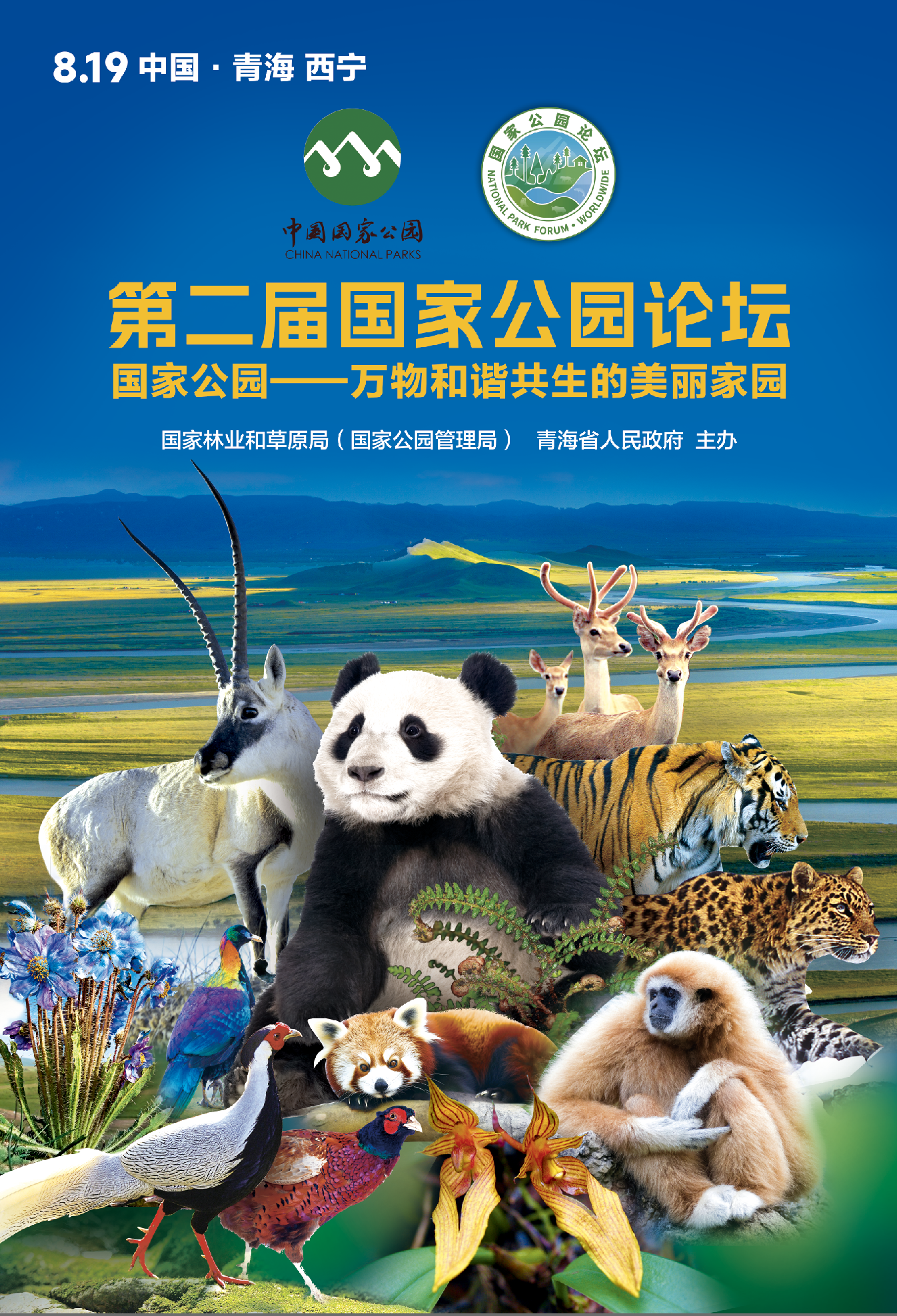 国家公园成立三年成果回顾，成绩单揭晓，共建绿色未来