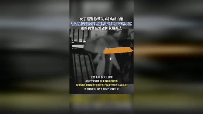 晴天打伞男子进小区被查出盗窃，意外的安全警示案例
