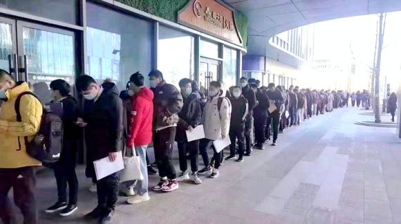 官方招聘新动向，优秀人才的多元风采——削菜工与清洁工的特色启示录