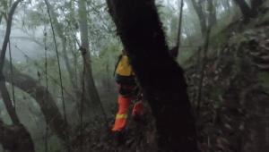 管理系统 第659页