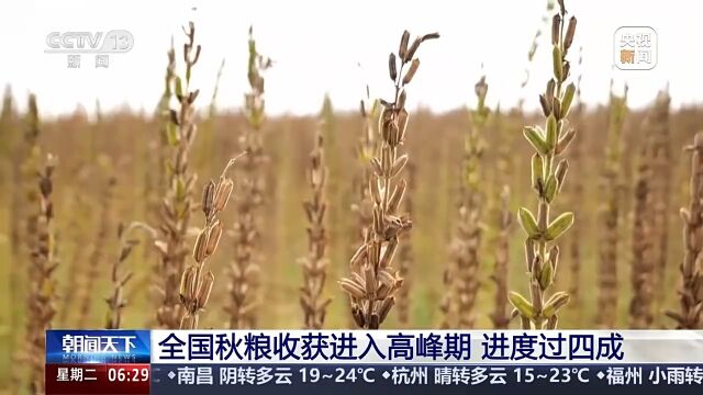 全国秋粮收获高峰来临，智能农机亮相助力科技农业大丰收！