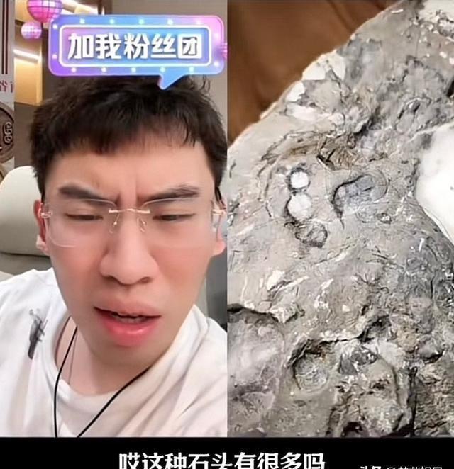 听泉鉴宝