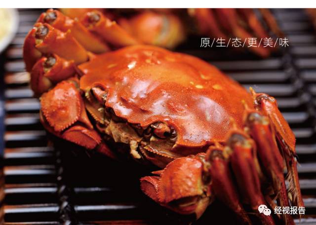 建议，揭秘真相，99元买阳澄湖大闸蟹？别上当！探寻小巷美味背后的真相