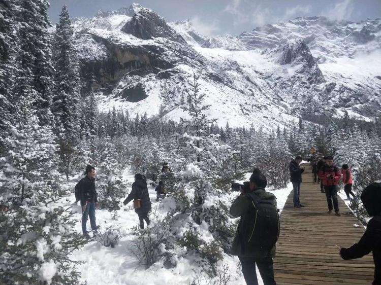 成都秋雪初降，心灵洗涤之旅启幕