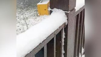 成都秋雪