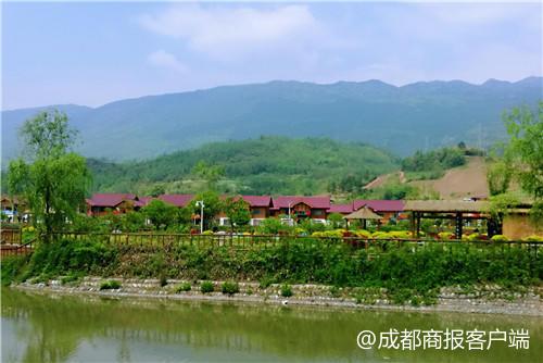 最新养猪大棚建筑探访与小巷特色小店探秘