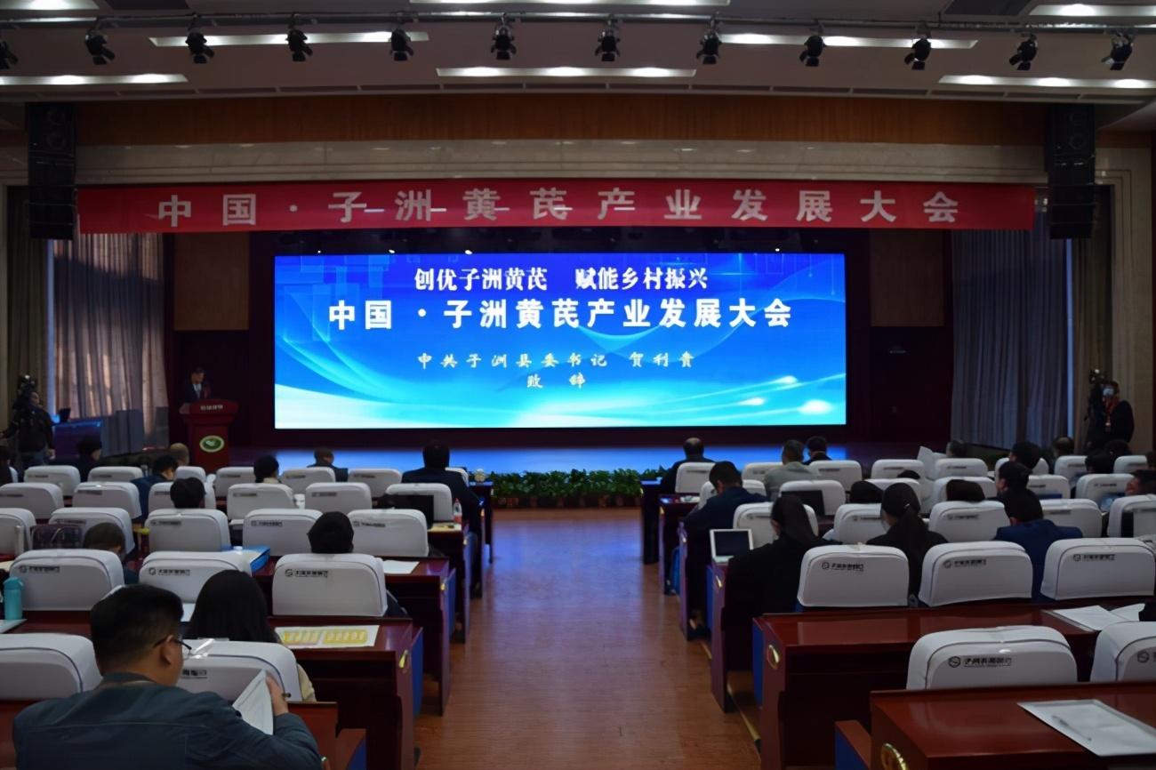 甘肃黄芪最新价格行情，科技重塑传统药材价值，新行情揭秘