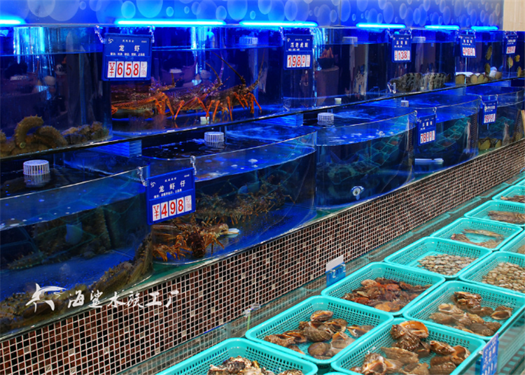 海鲜池主管的职场人生，鱼趣与友情的交织故事