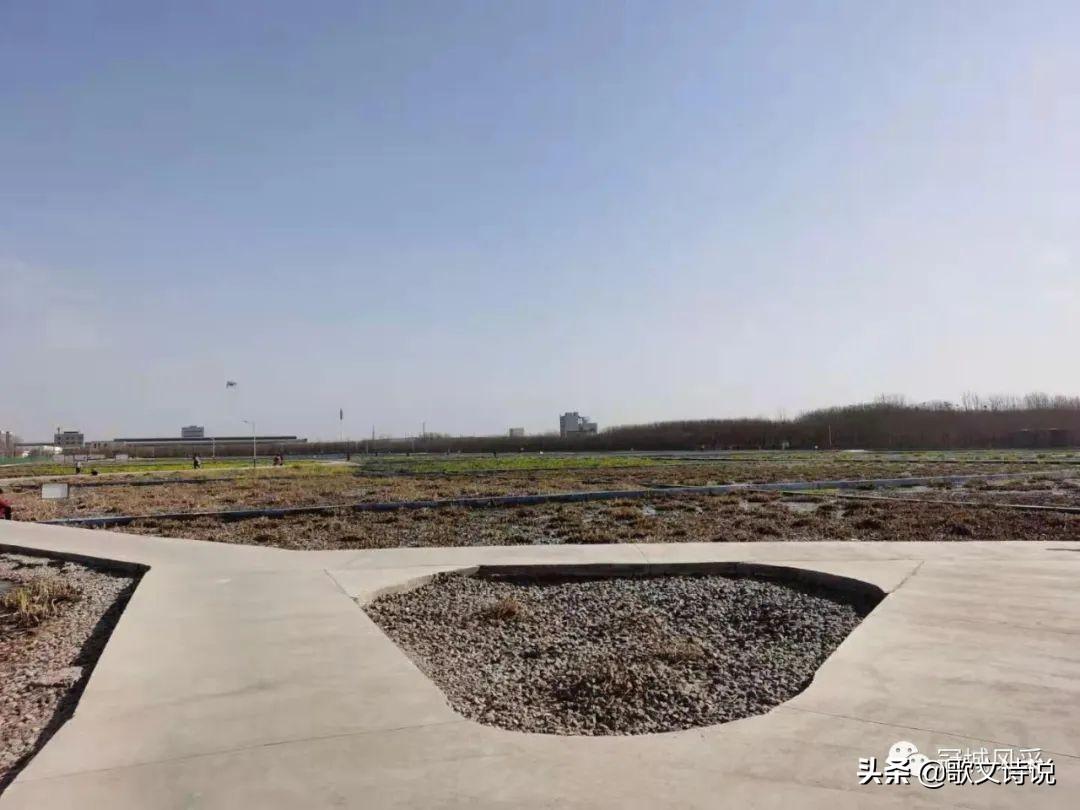 福建省组织部最新公示，小城的日常温馨揭晓