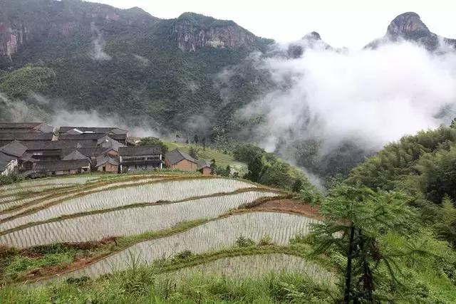 最新土地承包法全文解读，法律解读与案例分析参考