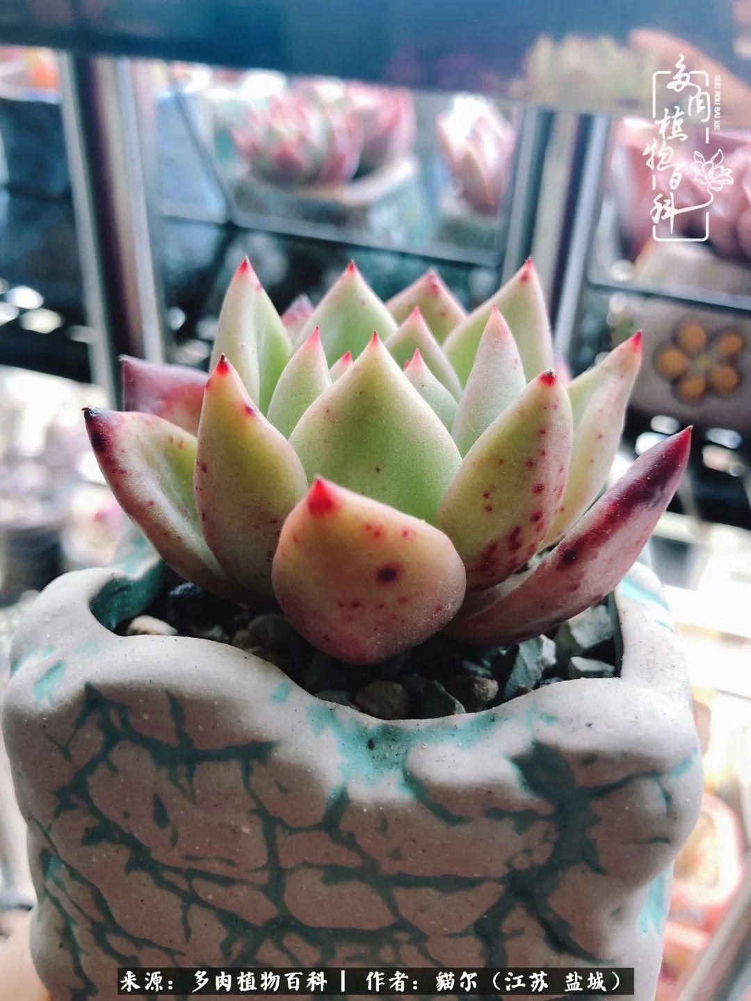 加入我们 第647页