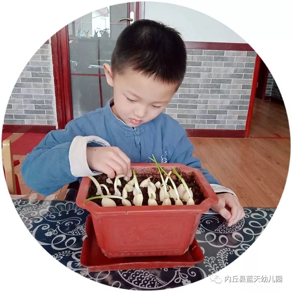 最新瓜动态与学习变化，播种自信与成就的种子