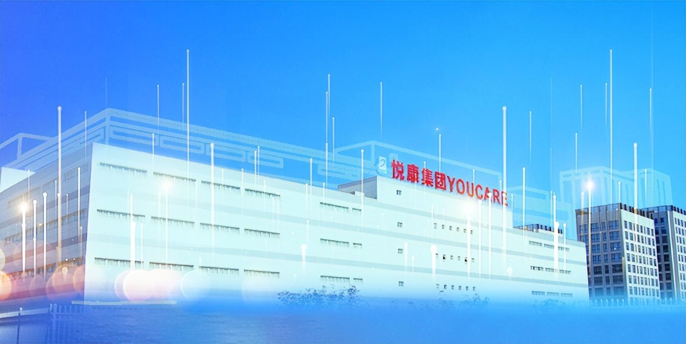 最新冠状病毒，背景、重大事件与全球影响概览