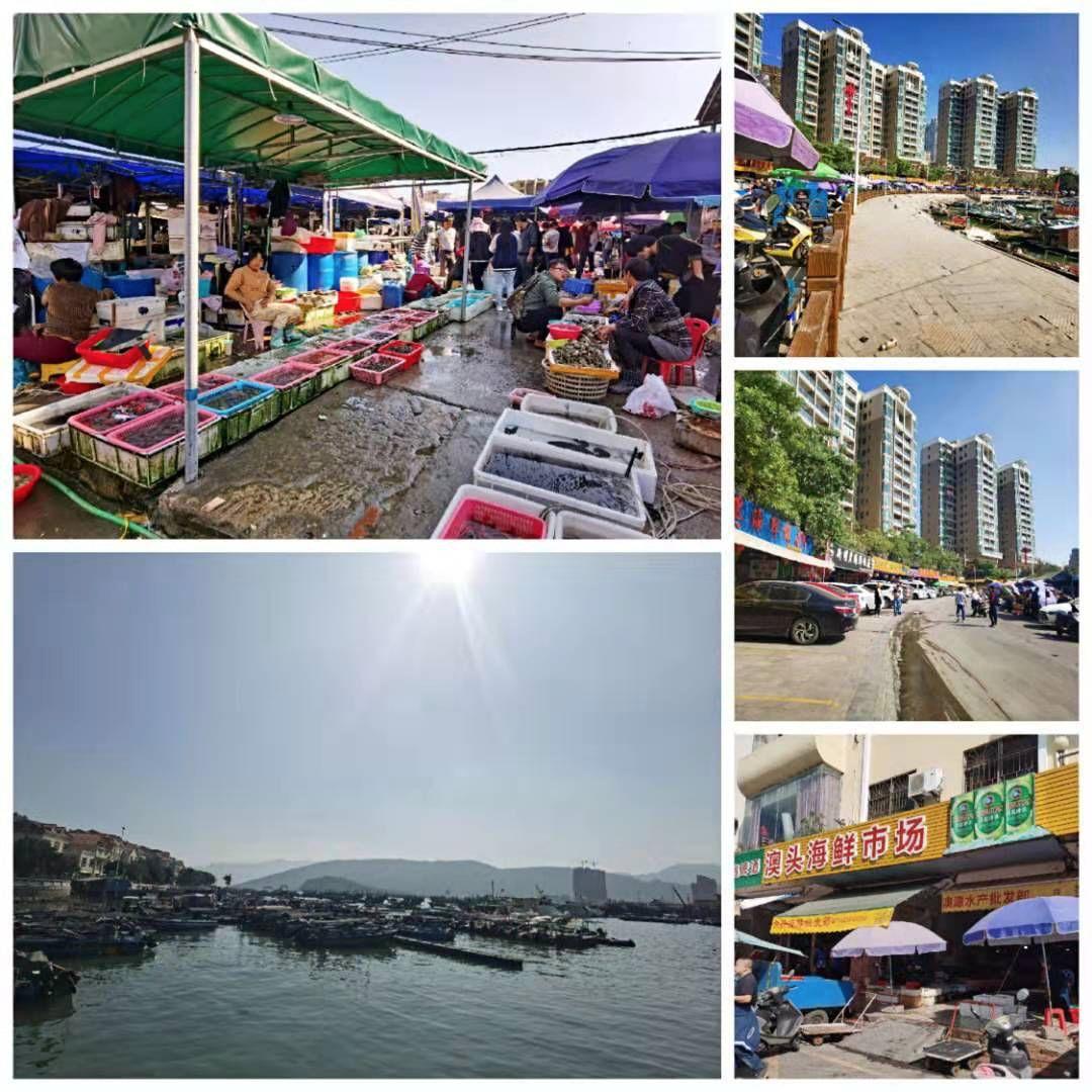 最新车牌背后的秘密与小巷独特小店之旅探索