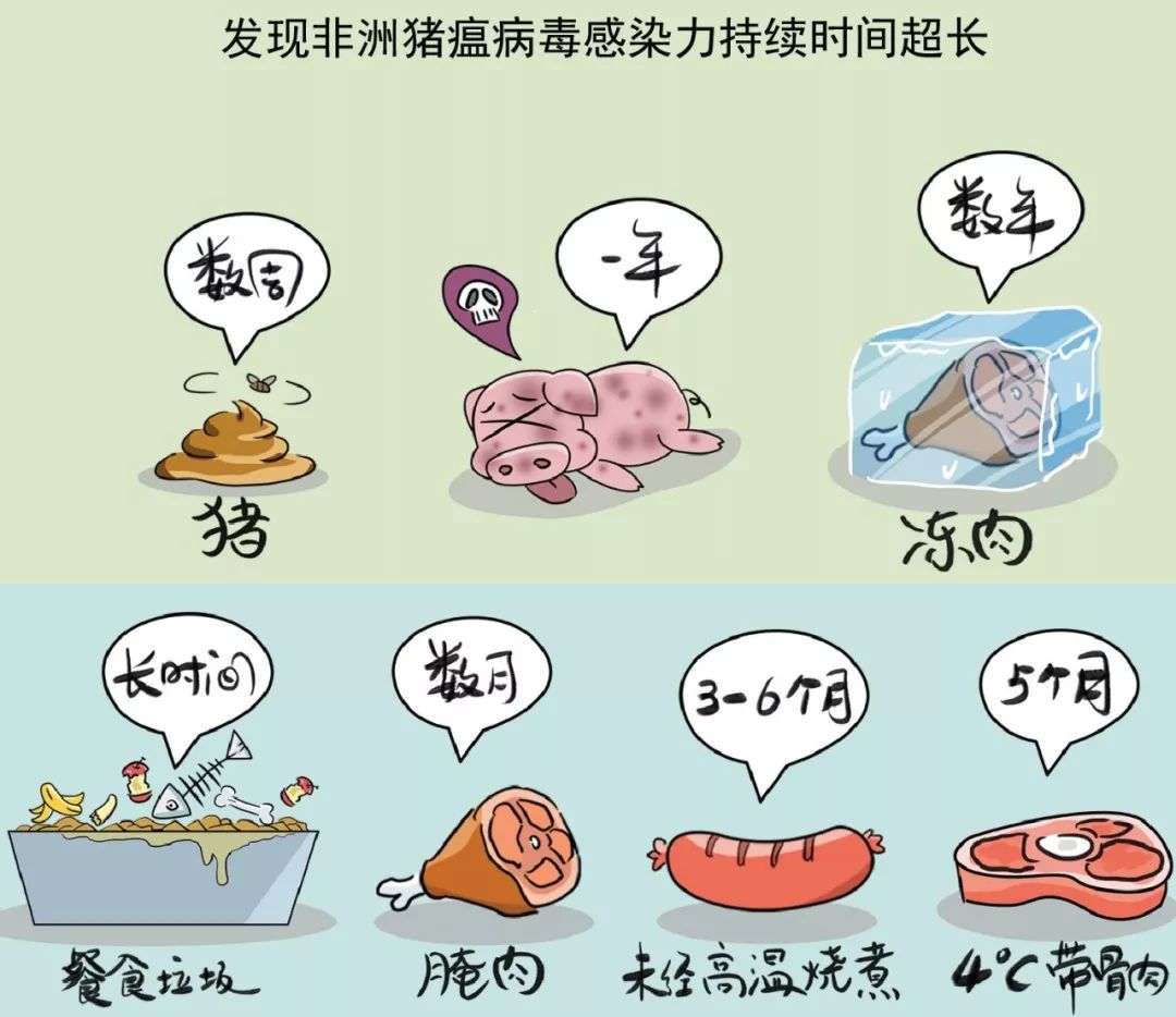 猪瘟最新动态与小巷深处美食探秘