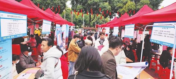 南宁最新招聘信息概览与观点论述