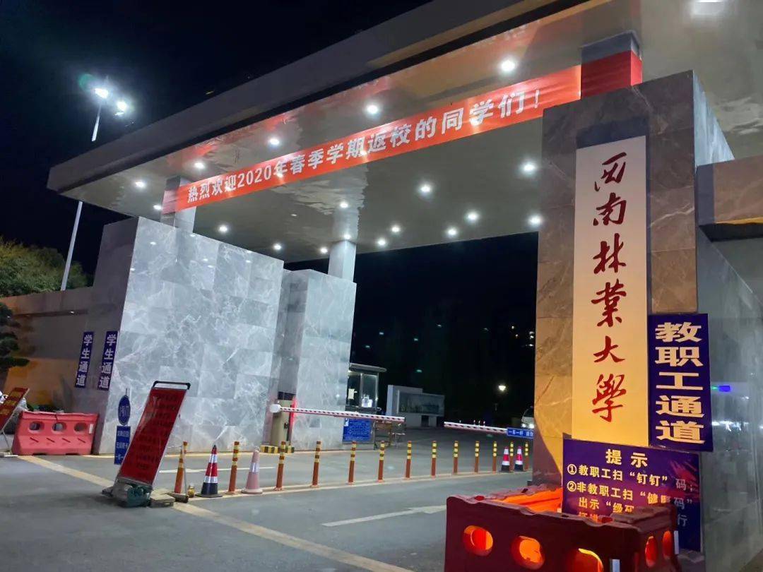 科技巨献重塑视界，感受未来生活的最新电影