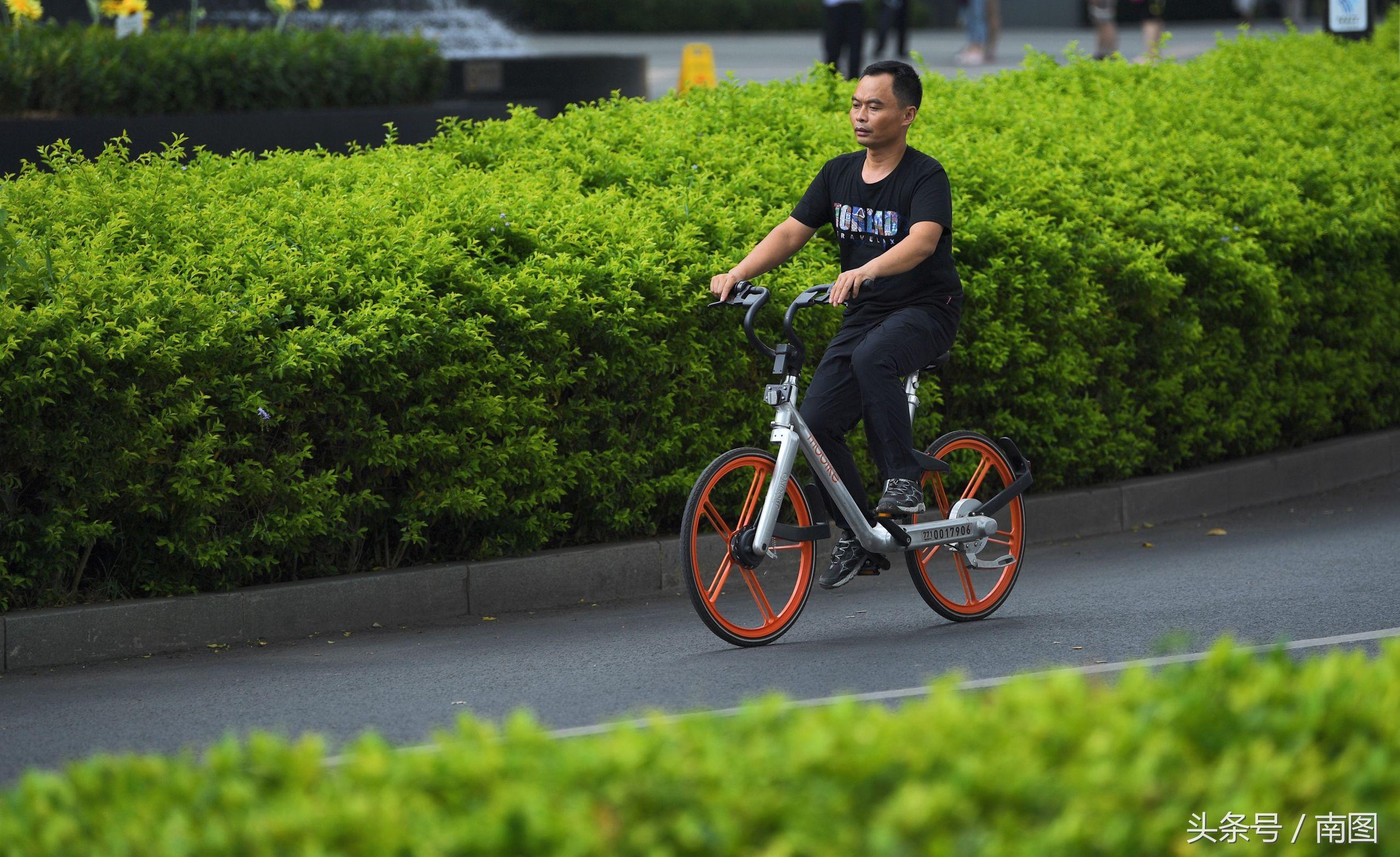 共享单车革新交通方式，引领绿色出行新潮流的最新消息