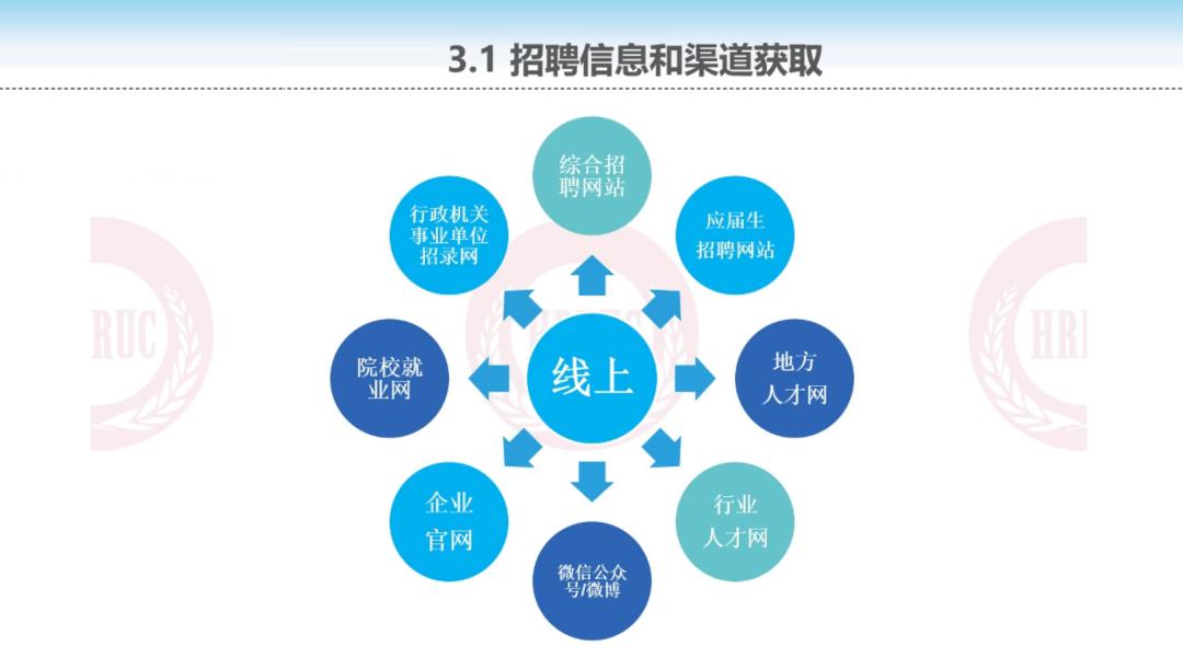 澄海最新招聘观点论述，掌握职位信息与择业策略的关键要素