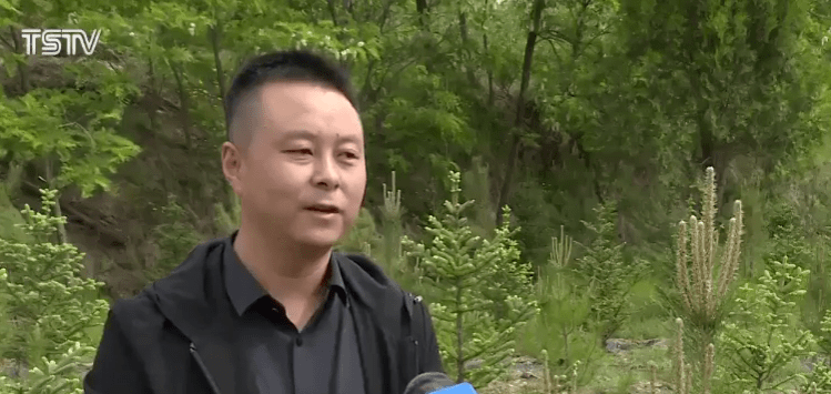 优质资源发现之旅，最新免费网站大盘点