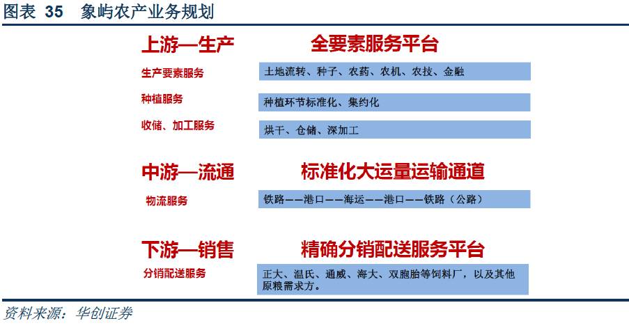 水稻价格最新行情解析，获取与分析水稻价格信息的指南