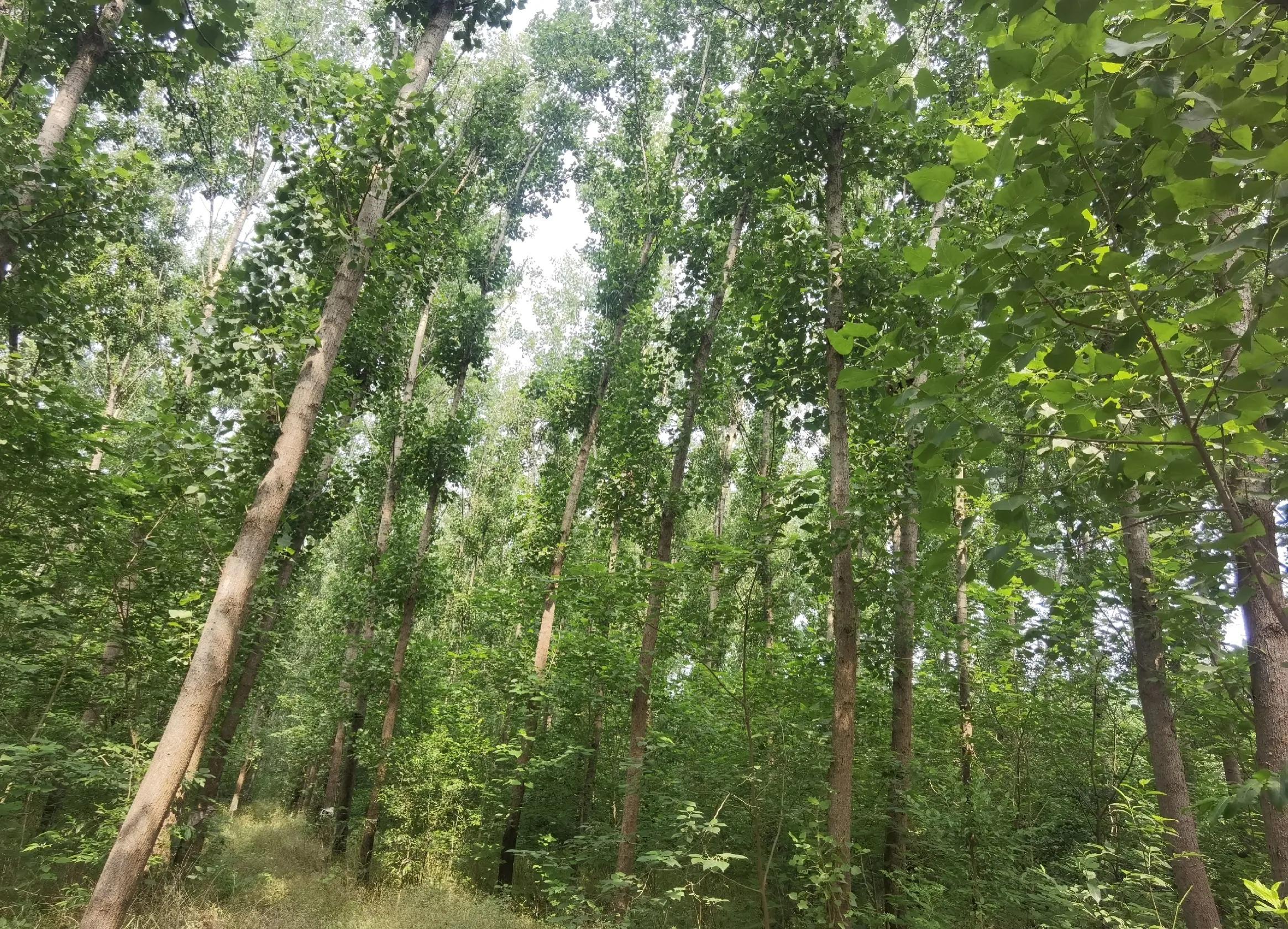 郑州最新新闻热点，城市发展的观点论述
