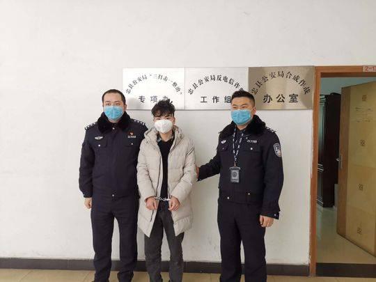 重庆最新疫情通报更新，疫情动态及防控措施解析