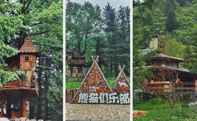 牛蛙最新行情与一场自然美景的旅行探索之旅