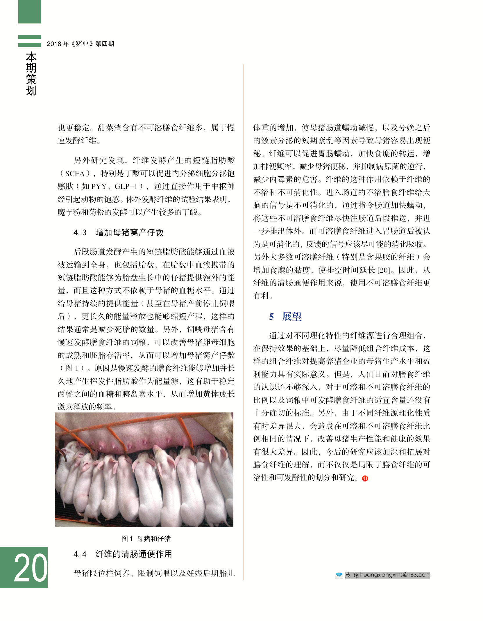 最新养猪信息论述与动态速递