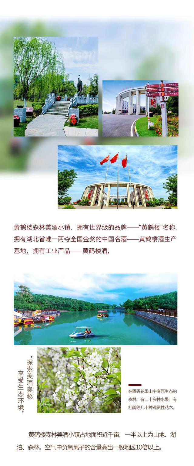 莱芜最新招聘，启程探索自然美景，寻找内心宁静的旅程