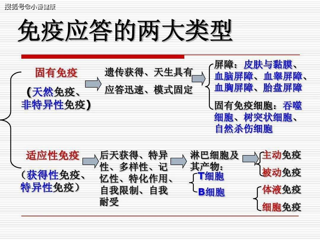 最新ESI论述，揭示其价值与应用前景的探讨