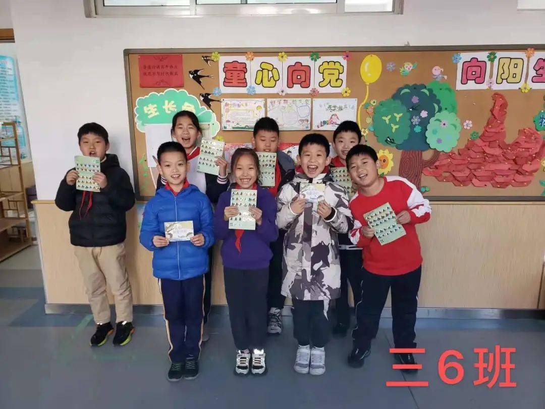 流星雨最新动态，点亮学习之路，探索成就感的星辰大海