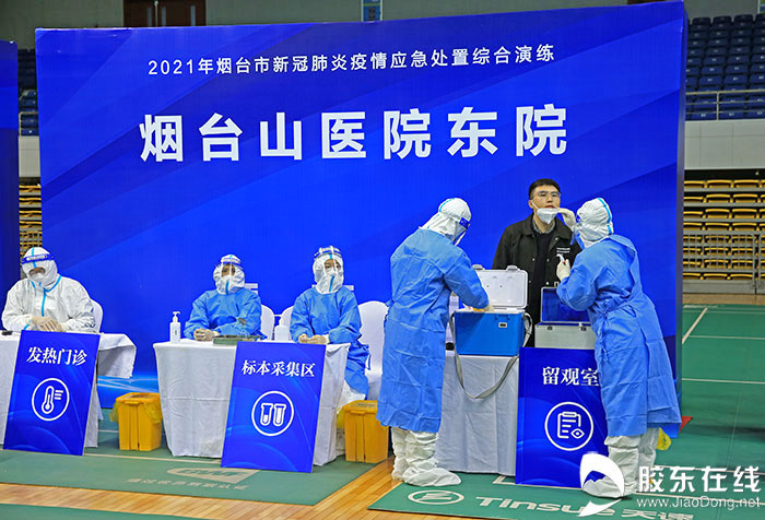 新冠肺炎最新动态详解，全面应对指南，适合初学者与进阶用户参考