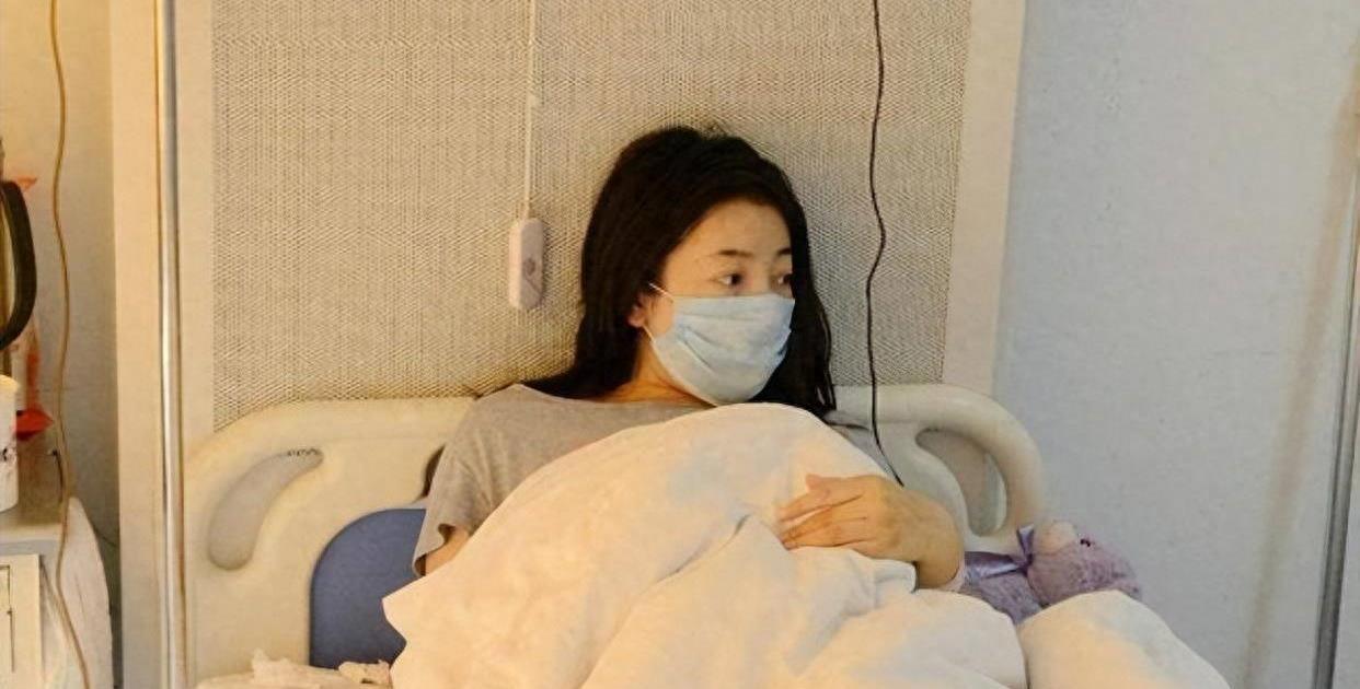 乐嘉最新动态，温馨日常中的色彩与笑声