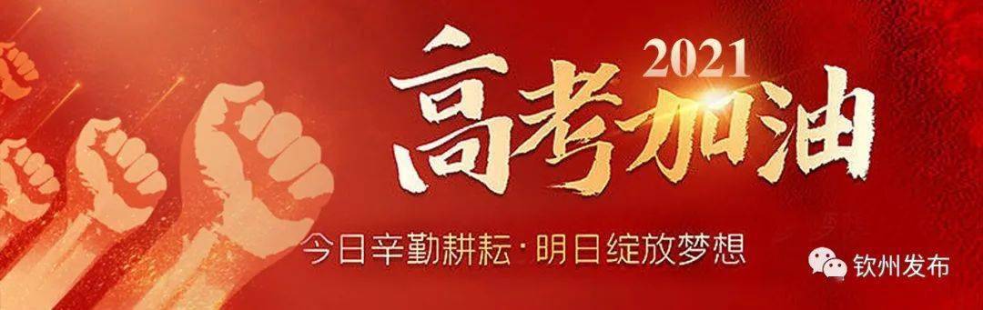 高考最新动态，乘风破浪，启航梦想之舟