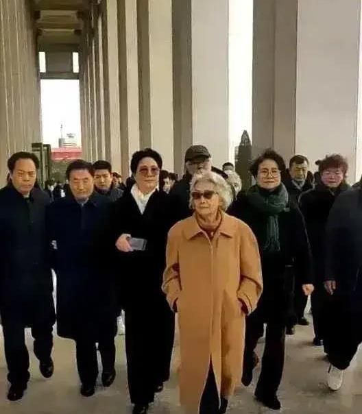 最新QQ表情包，时代符号与文化印记的完美结合