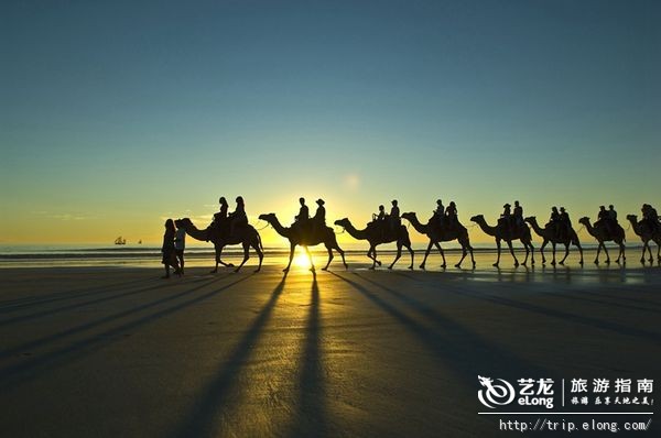 临汾最新新闻，拥抱自然，心灵宁静之旅探寻记