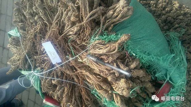 当归最新价格动态，学习变化的力量，自信与成就的滋养源泉