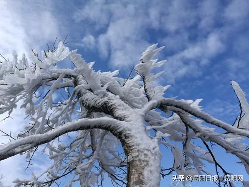 临湘新闻最新动态，自然美景之旅，探寻内心宁静与平和