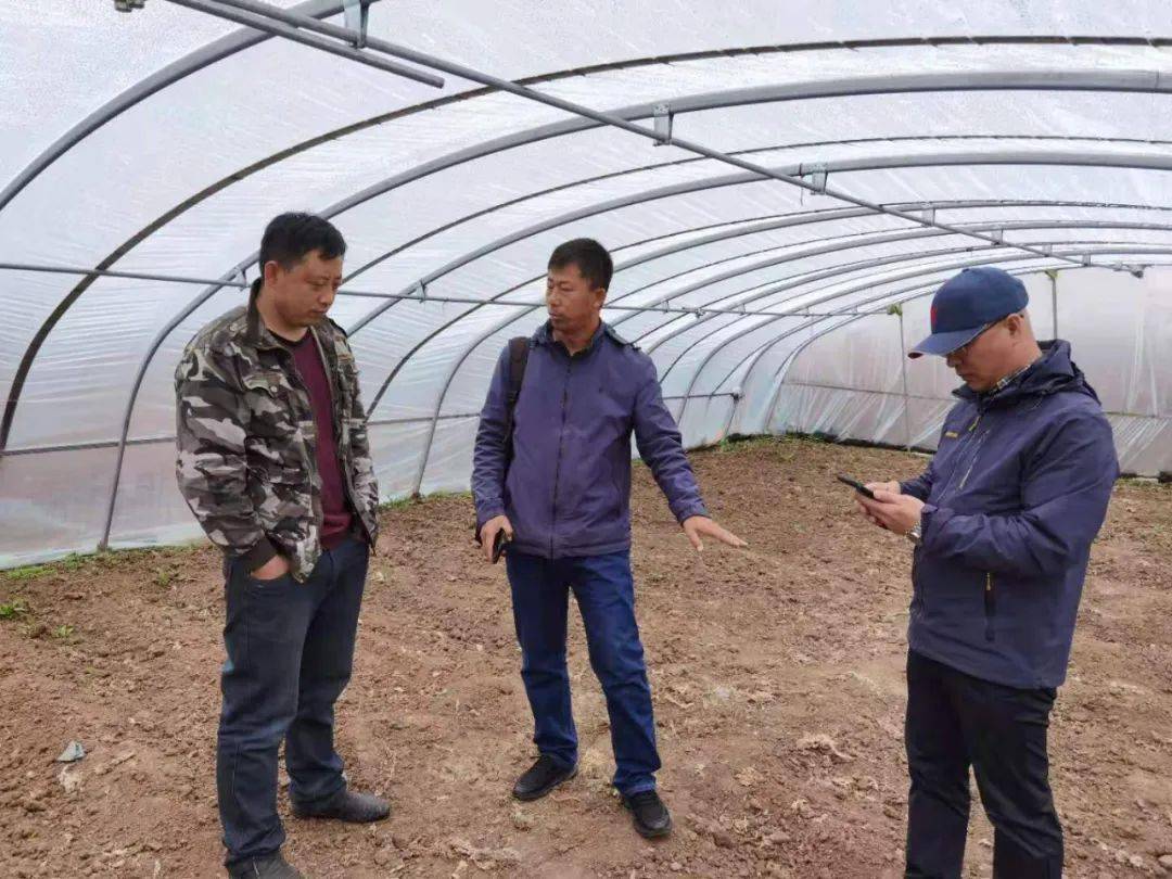 最新火球法，点燃学习激情，成就无限潜能