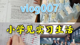 最新倒模招聘，小巷深处的独特小店，探索无限可能的职业旅程！