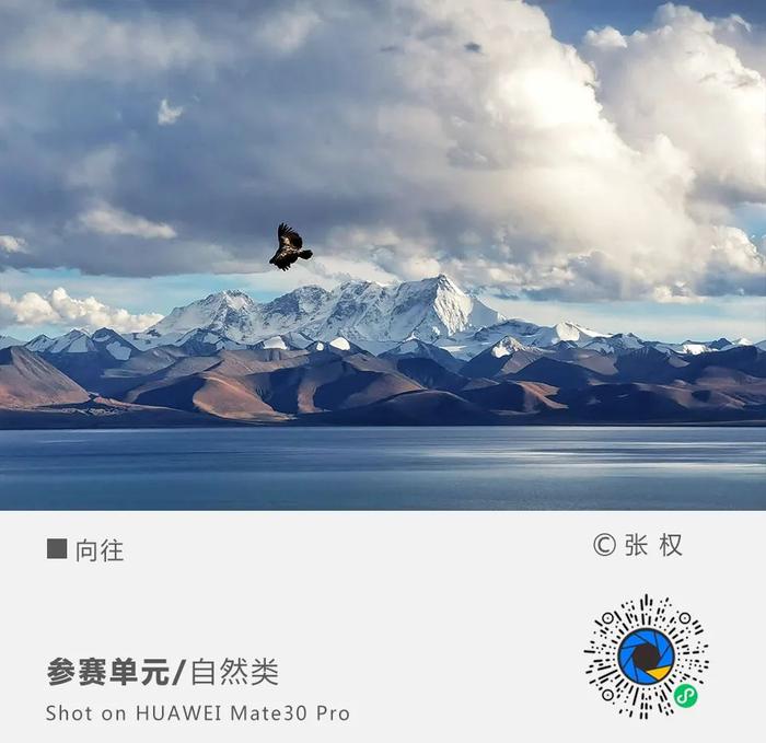 掌酷新时代，自然美景的心灵之旅