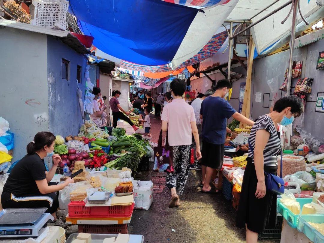 中央最新财经新闻与小巷深处的独特小店探秘揭秘