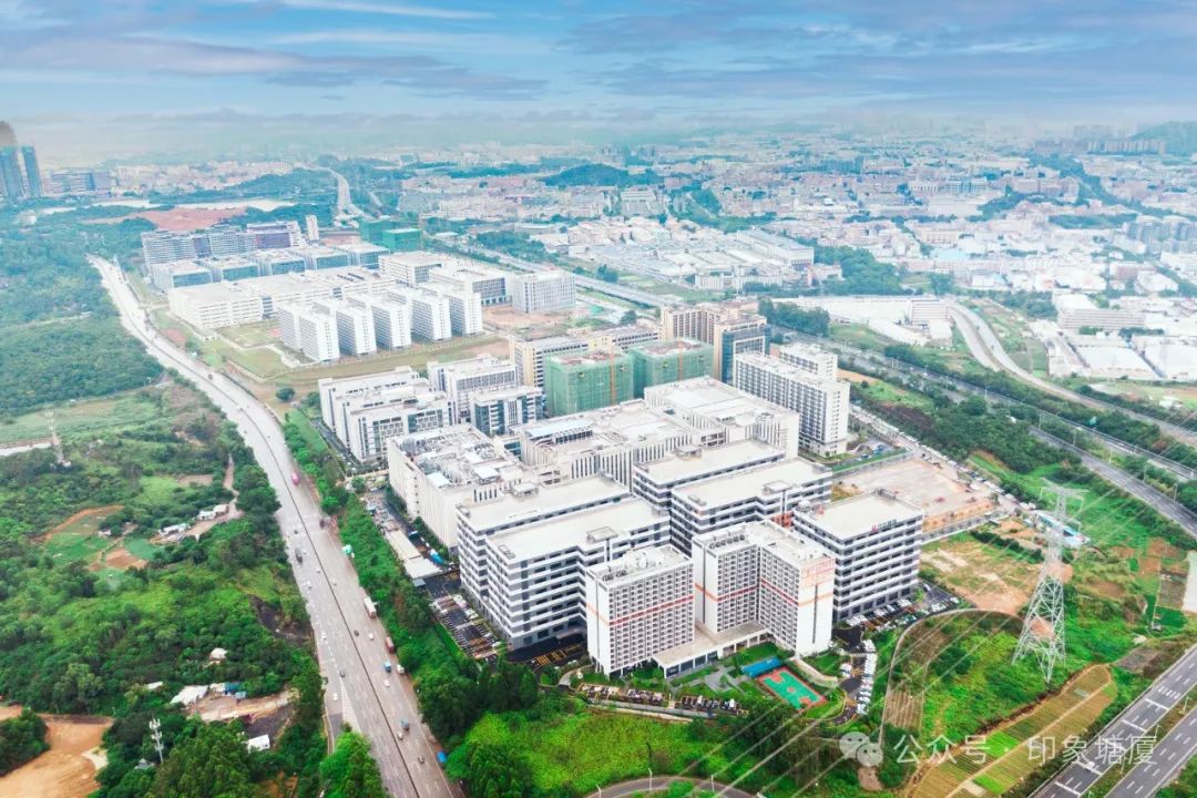 塘厦最新新闻报道