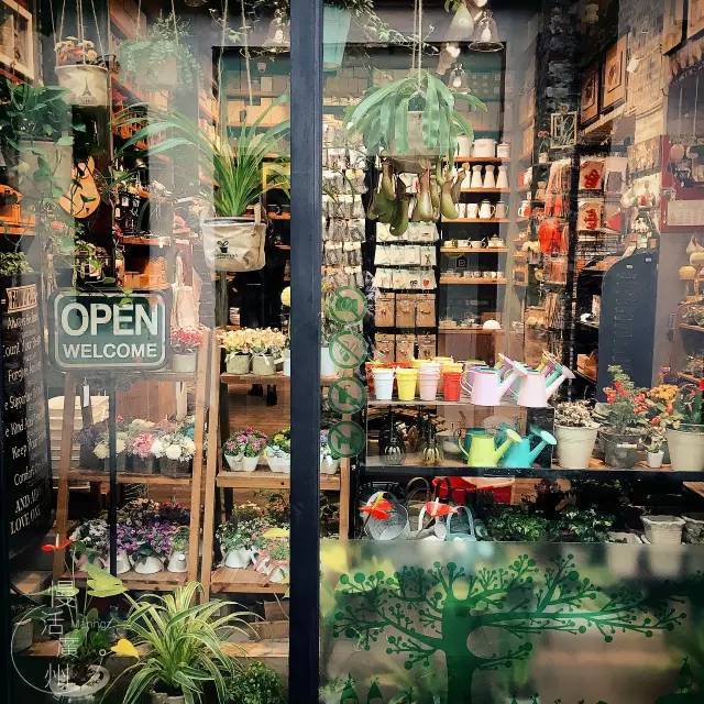 南玻特色小店，小巷中的隐藏宝藏之独特魅力最新消息