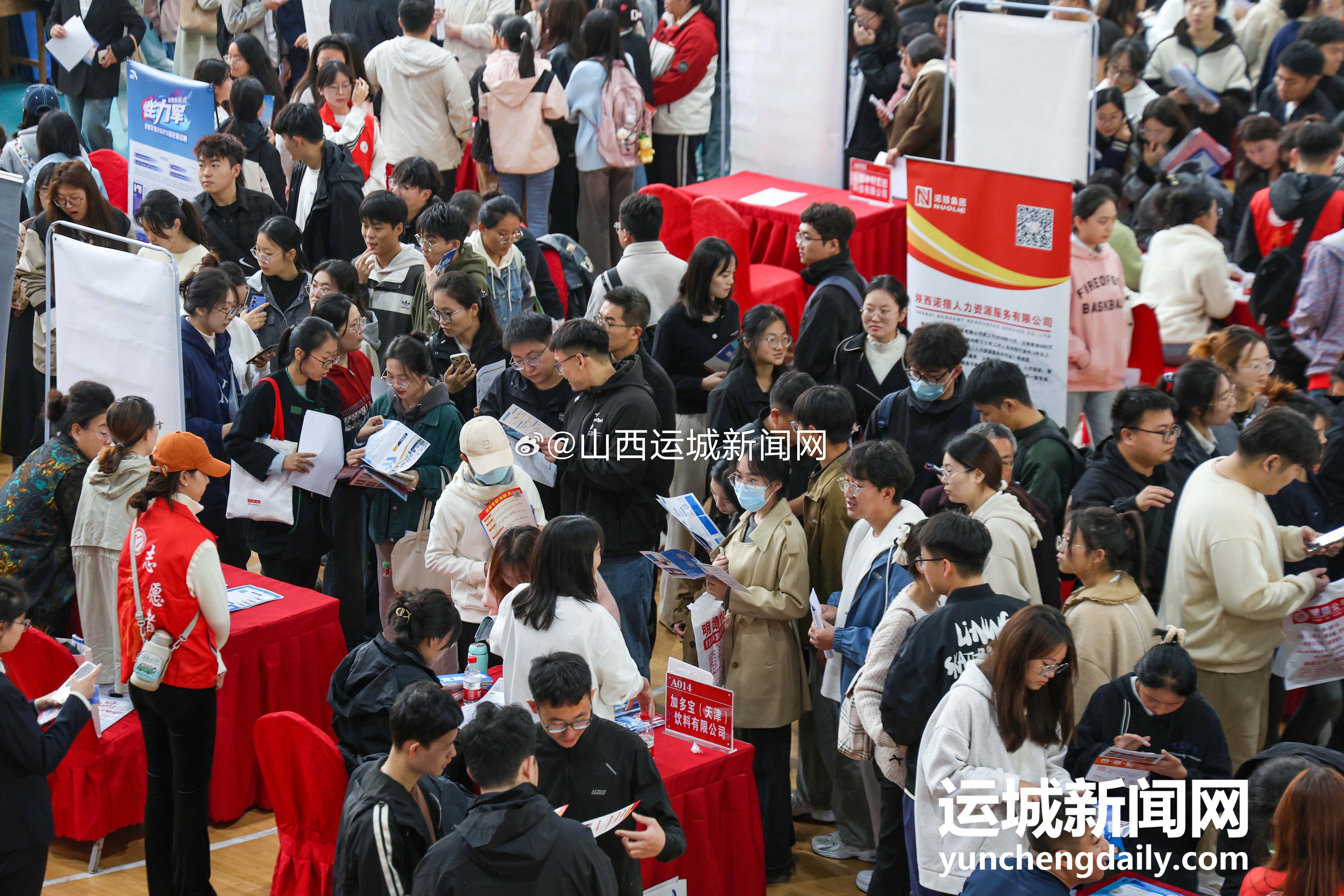 山西运城最新招聘信息全攻略，获取指南与职位信息汇总