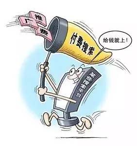 安徽禽流感最新动态，共舞大自然，探寻内心宁静之旅