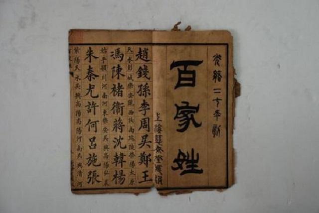 最新司马懿电视剧，隐秘瑰宝在小巷绽放