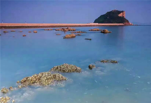 大连长兴岛最新房价走势与市场分析，洞悉房价动态及趋势预测